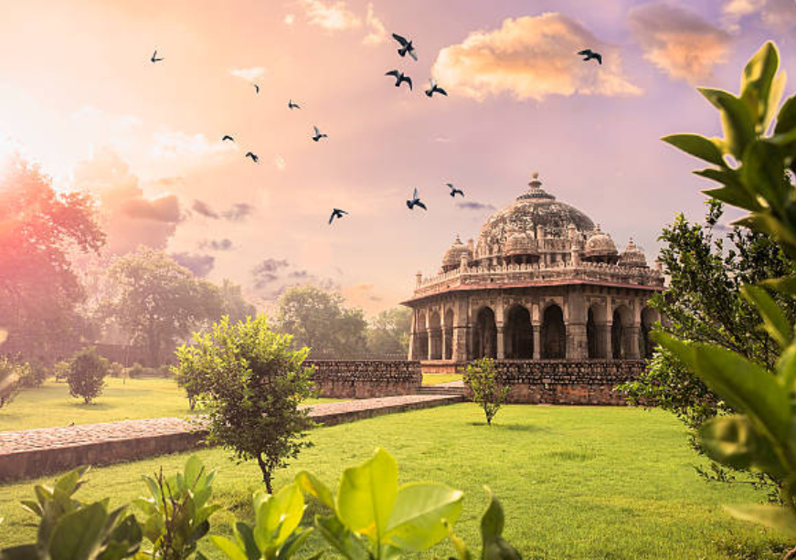 भारतीय शहरे आणि त्यांचे पक्ष्यांशी असलेले सहजीवन